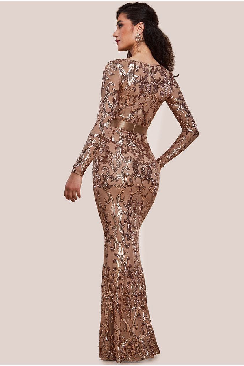 Embroidered Sequin & Mesh Maxi Dress - Champagne DR2558