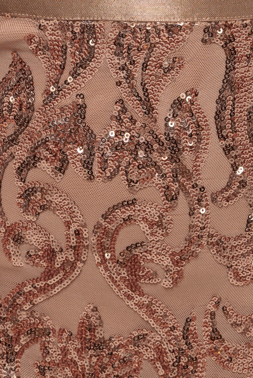 Sequin & Mesh Midi Dress - Champagne DR3476