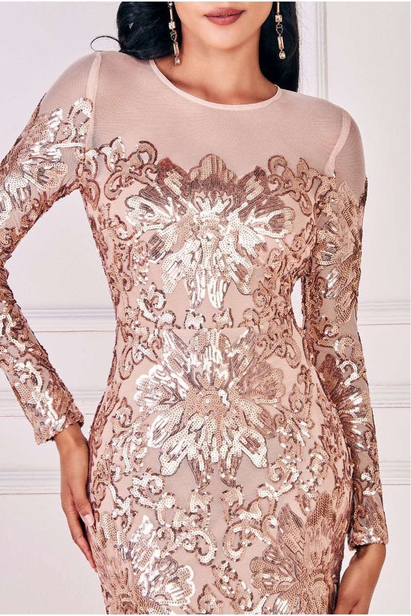 Floral Sequin Mesh Maxi - Champagne DR4041