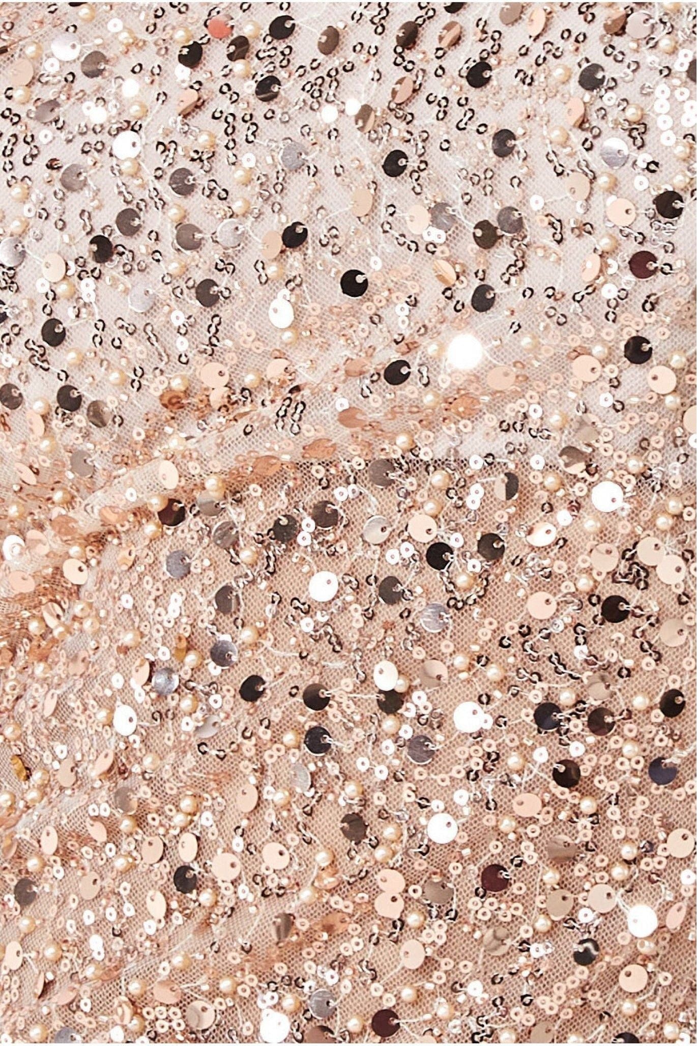 Naked Sheer Sequin Bodycon Midi Dress - Champagne DR3514