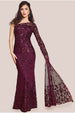 Sequin Mesh One Shoulder Evening Maxi - Burgundy by Goddiva