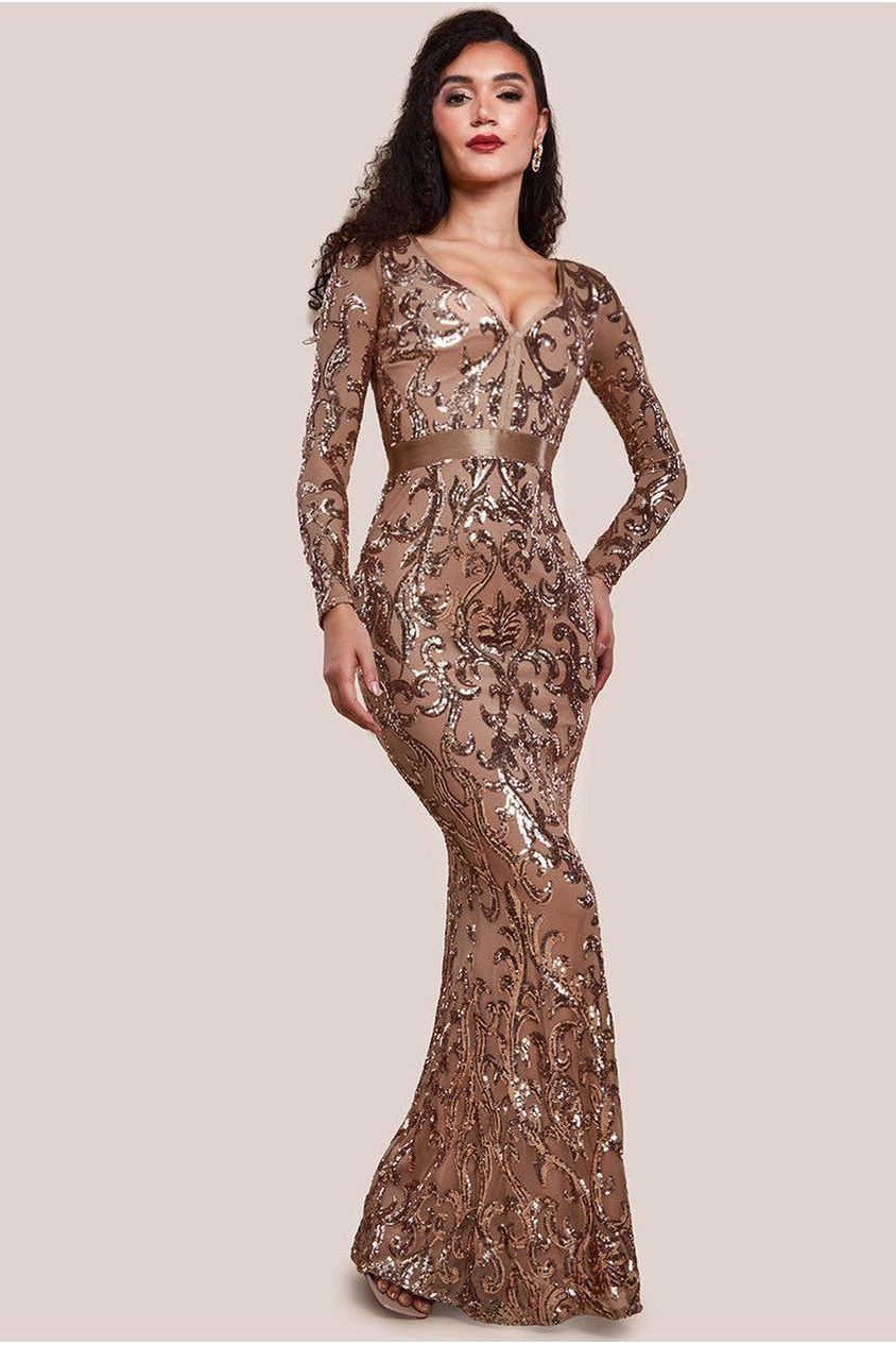 Embroidered Sequin & Mesh Maxi Dress - Champagne DR2558