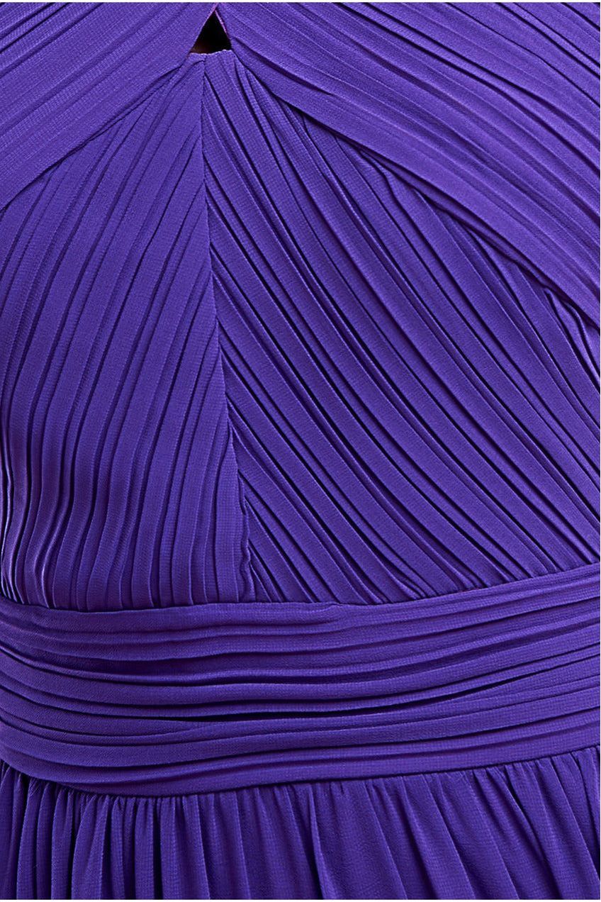 Halter Neck Chiffon Maxi Dress - Purple DR3076A