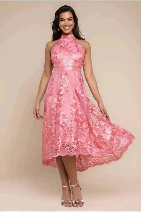 Halter Neck Lace High And Low Dress - Coral by Goddiva