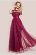 Embroidered Mesh Maxi Dress - Burgundy by Goddiva