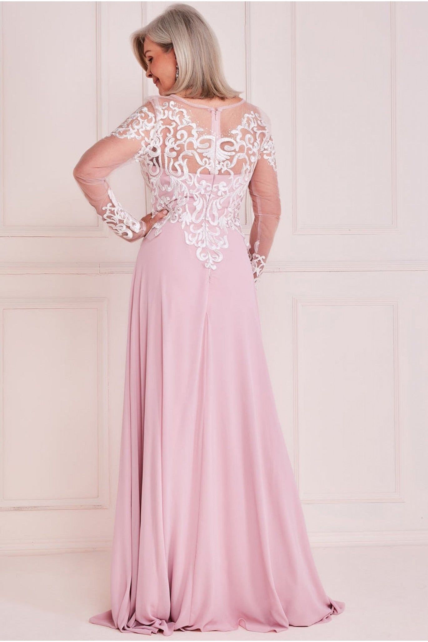 Mesh & Lace Embroidered Bodice Maxi - Blush DR3260M