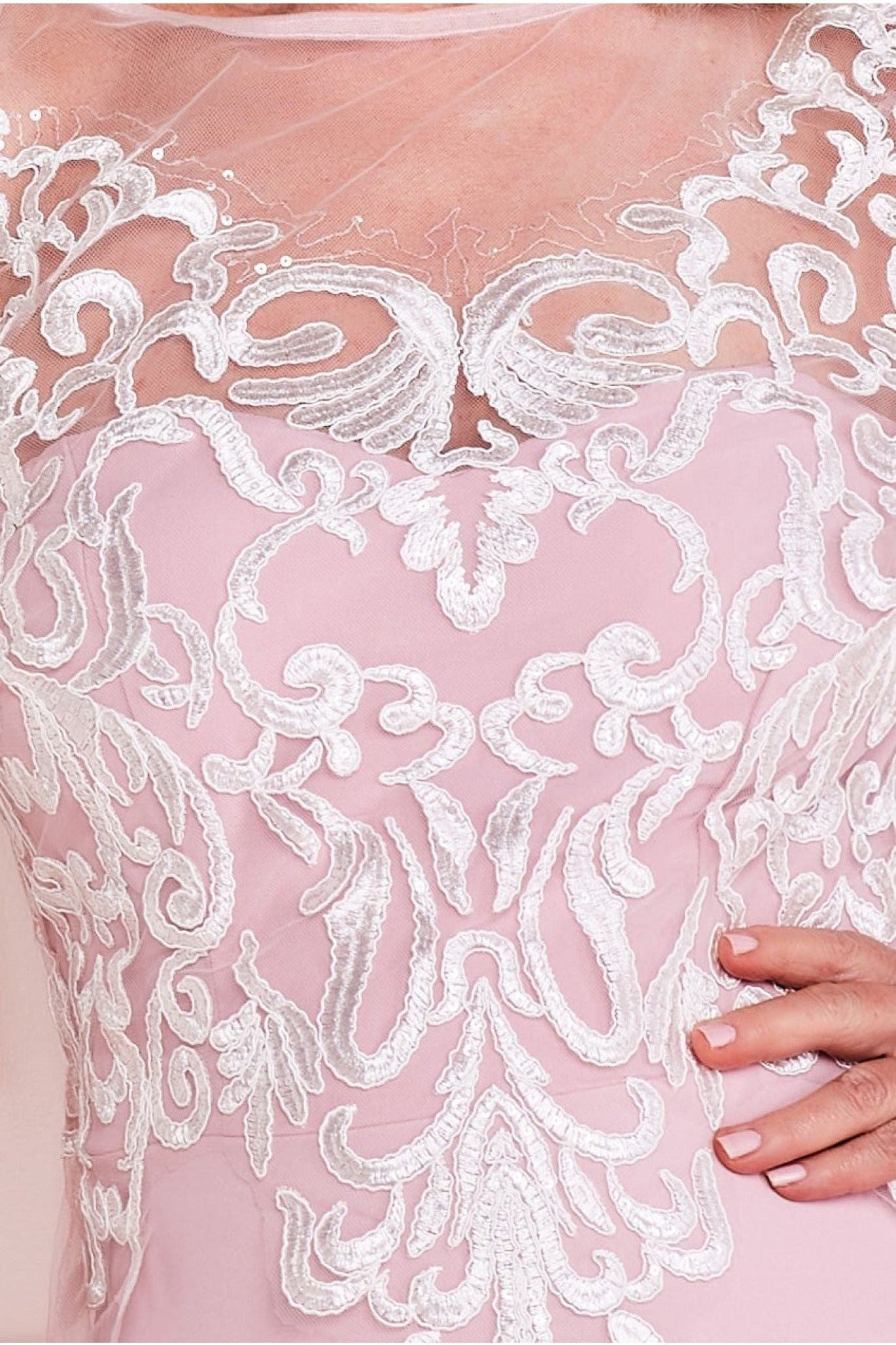 Mesh & Lace Embroidered Bodice Maxi - Blush DR3260M