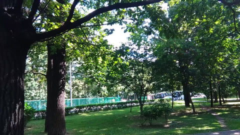 EV031025 Nith - IVORY by East Village