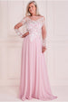 Mesh & Lace Embroidered Bodice Maxi - Blush by Goddiva